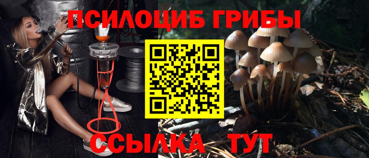Псилоцибиновые грибы мухоморы Назарово