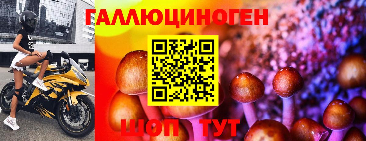 Назарово  Галлюциногенные грибы Psilocybe  Псилоцибиновые грибы Cubensis  Вход с VPN 